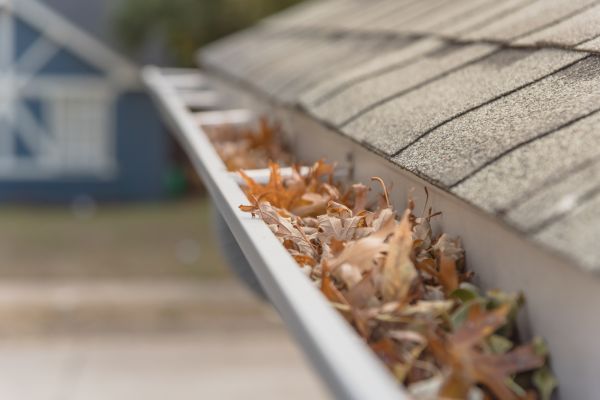 Leaf Barrier Installation in Little Elm